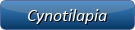 Cynotilapia