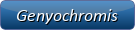 Genyochromis