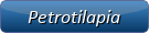 Petrotilapia